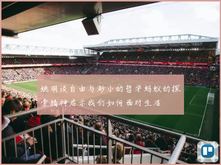 姚明谈自由与渺小的哲学蚂蚁的探索精神启示我们如何面对生活